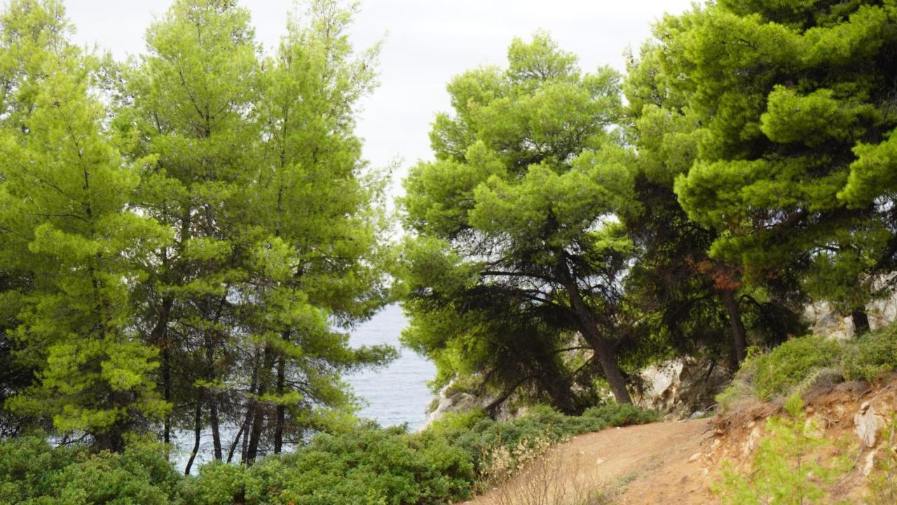 Holiday home Halkidiki Kassandra 3 P *