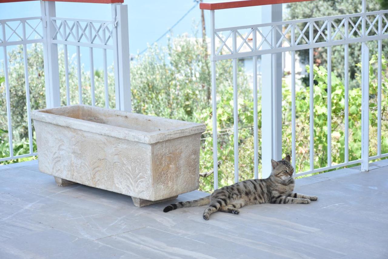 Holiday home Amphiareion Sea View *