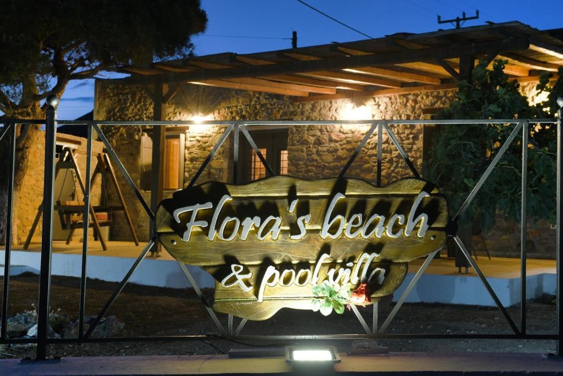 Villa Flora's And Pool In Syros *