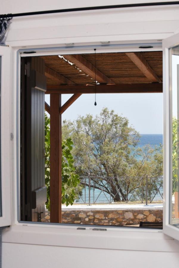 Flora's And Pool In Syros Villa Liaropa