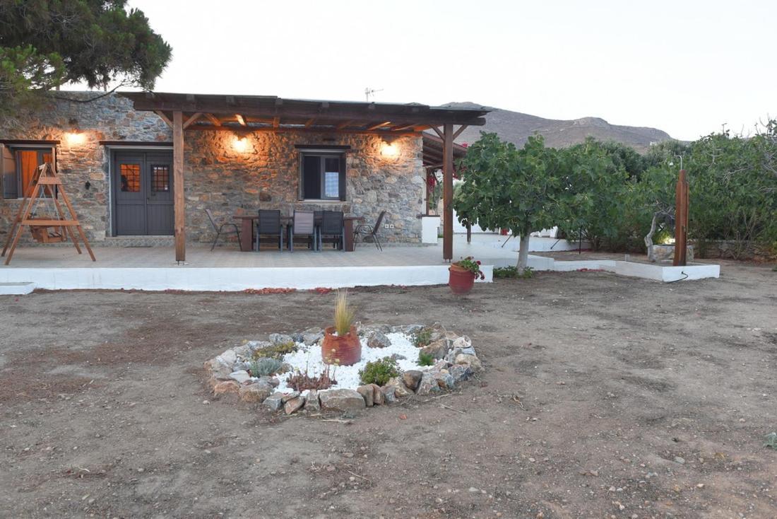 Flora's And Pool In Syros Villa