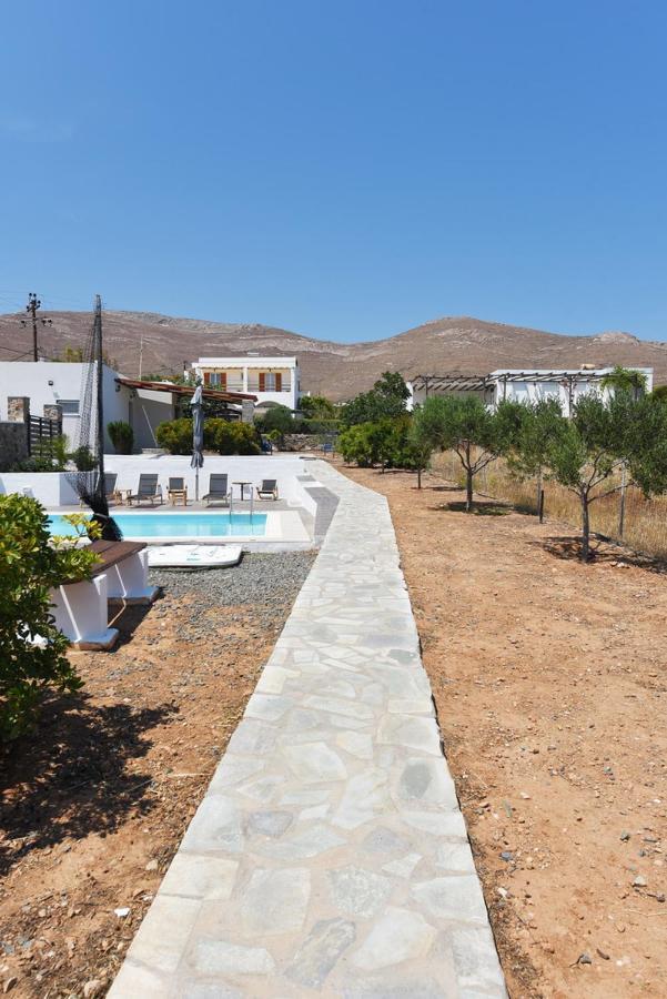 Flora's And Pool In Syros Villa
