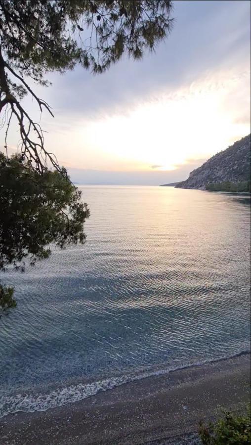 Villa Calypso With Jacuzzi Pool & Sea View Nerotrivia