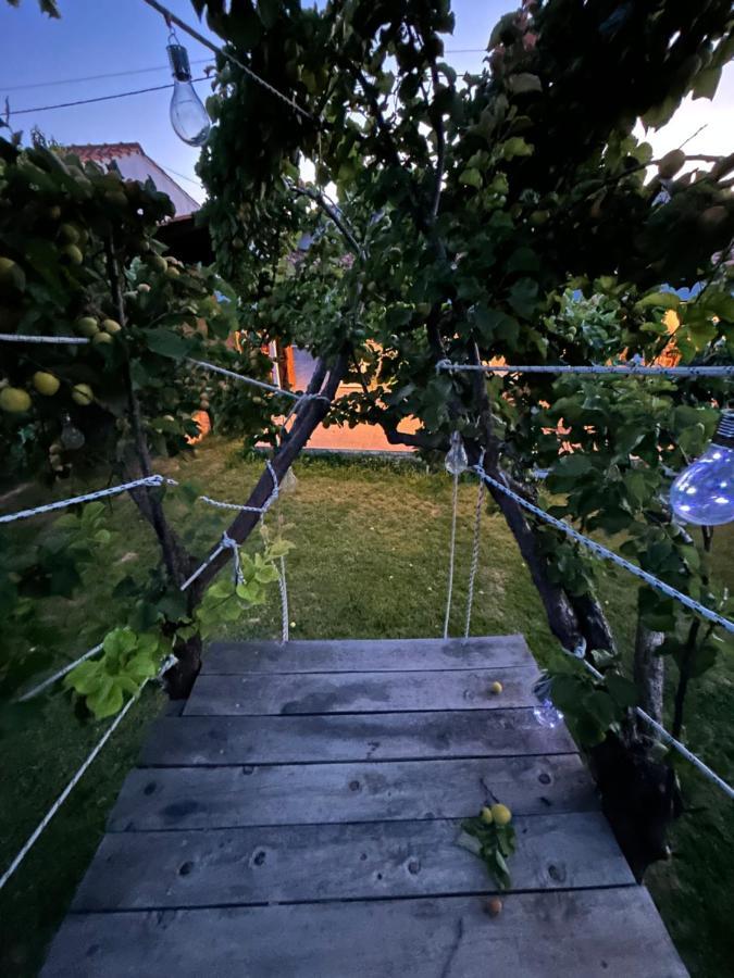 The Garden House Zacharo