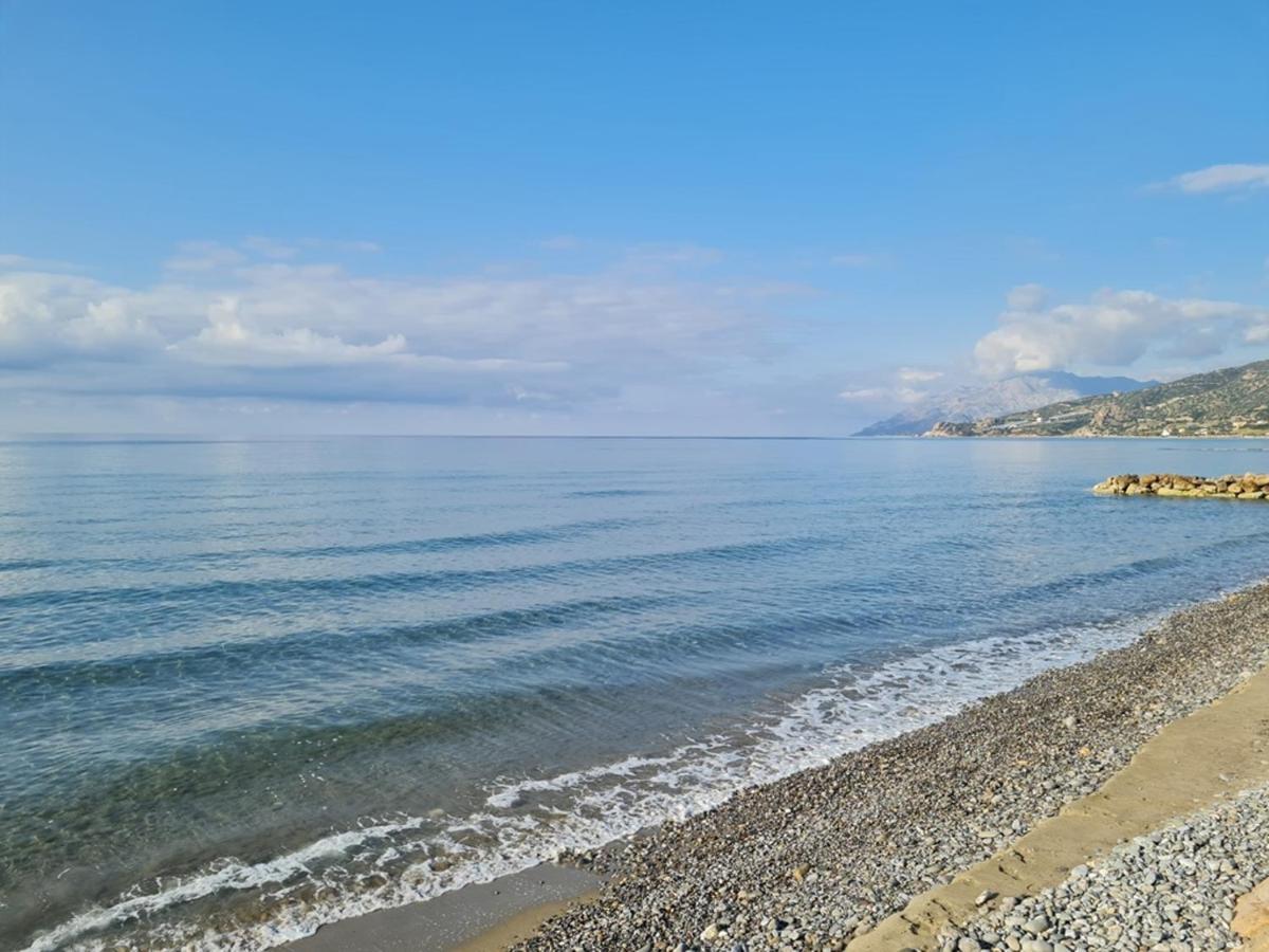 Atalanti Seaside Junior