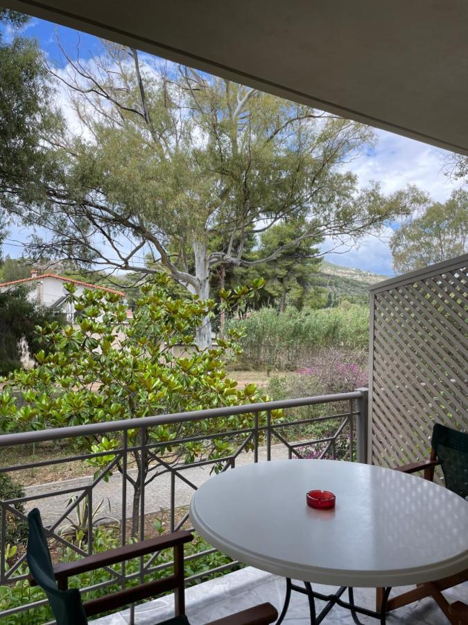 Apartment Porto Assini