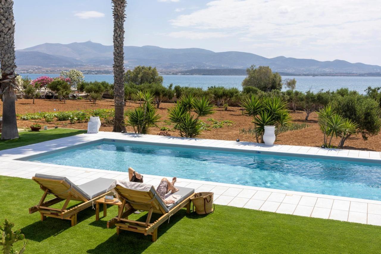 Sunrise Luxury Apartments & Suites Apartment