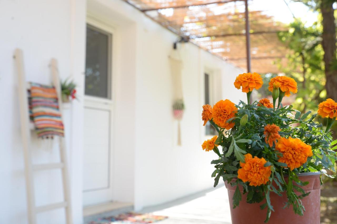 Apartment Myrtus *