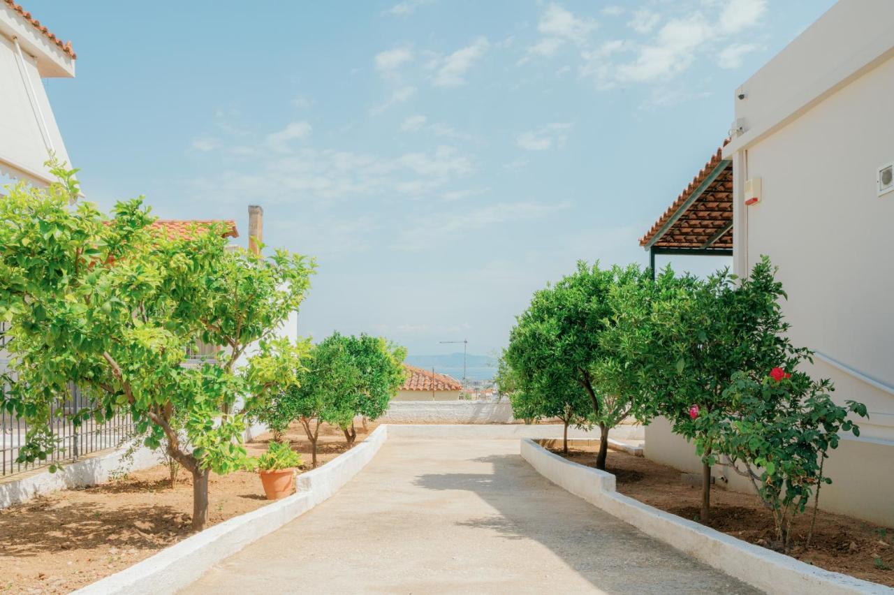 Akanthos House Apartment Corinth