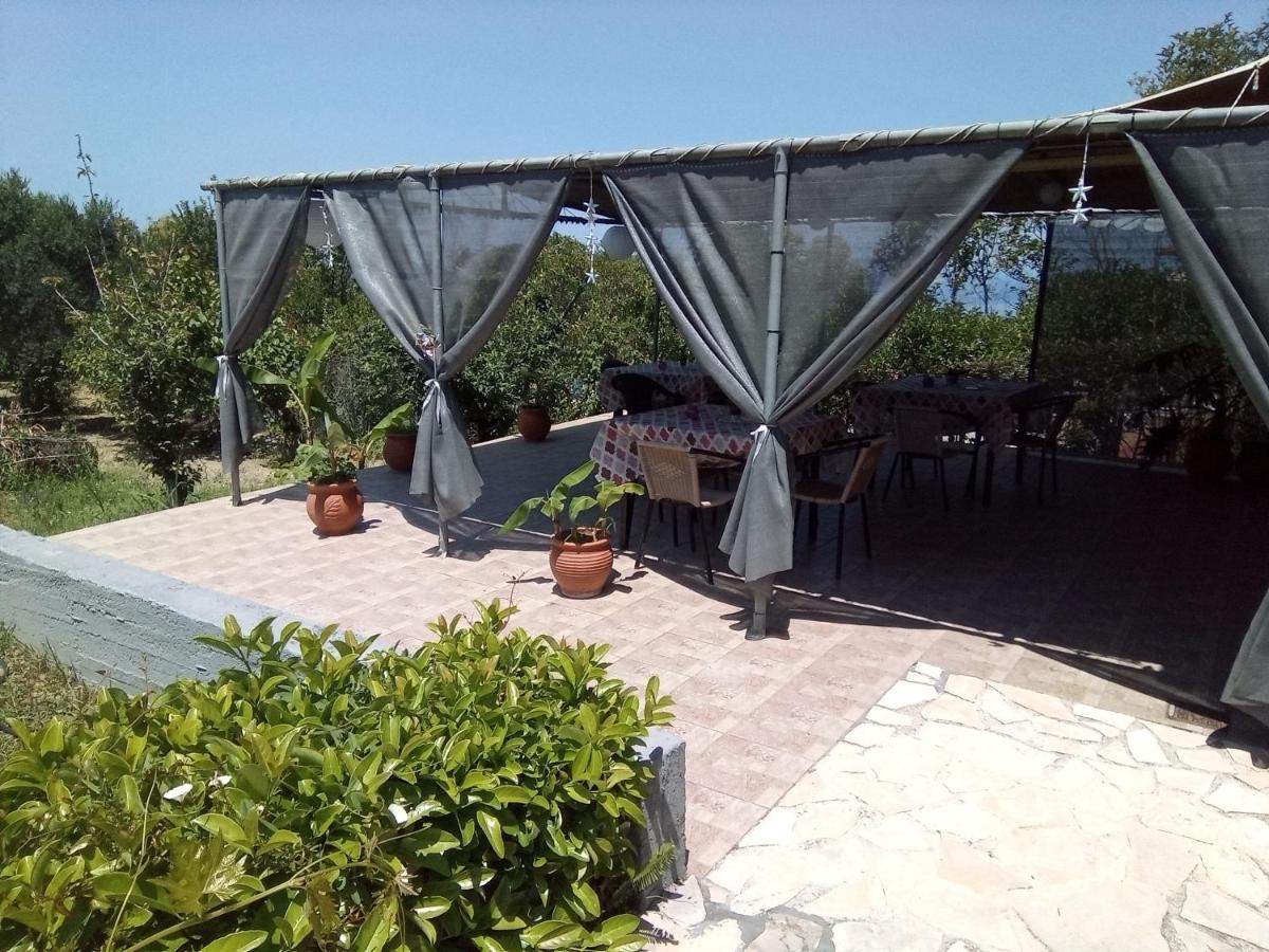Panorama Apartment