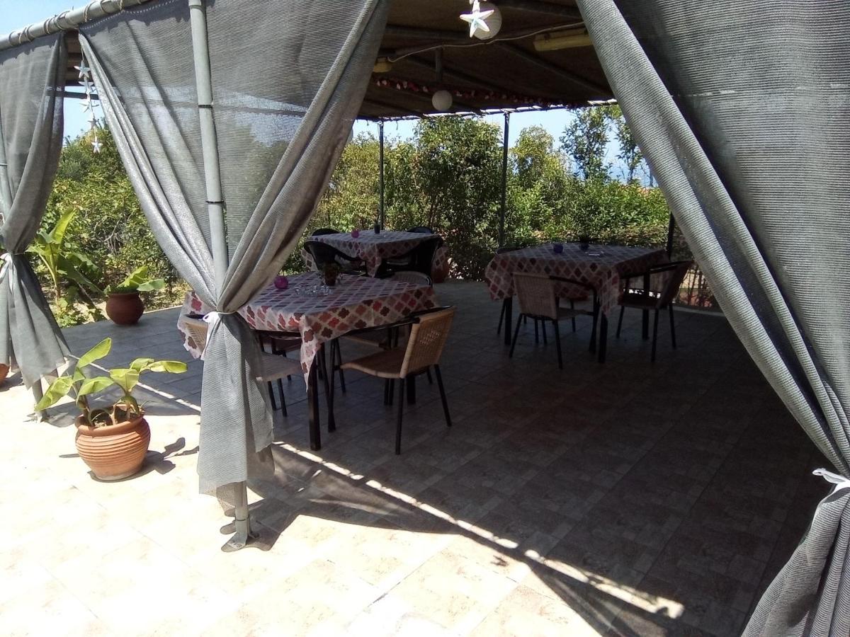 Panorama Apartment