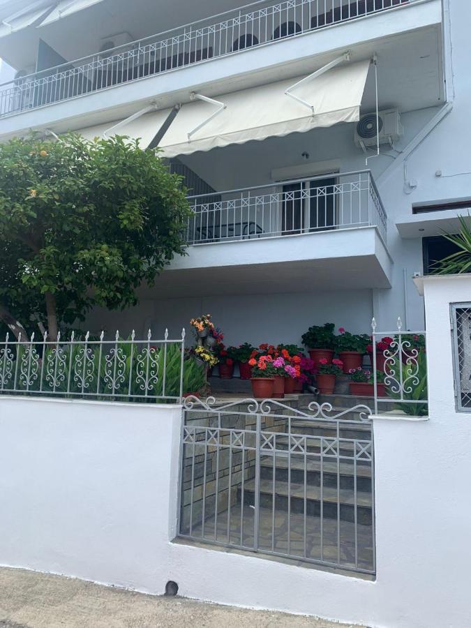 Anna House 3
