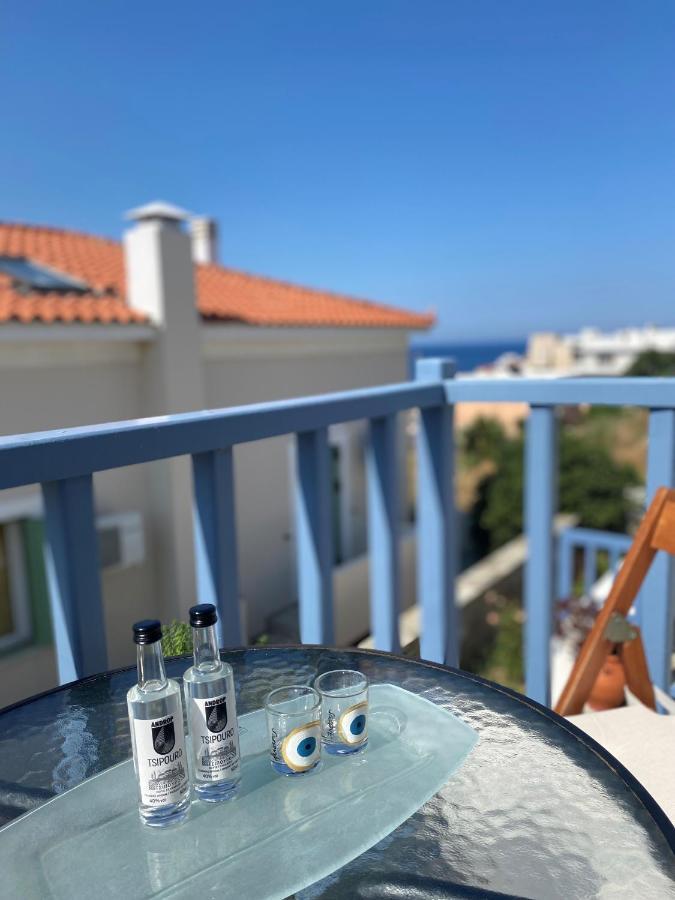 Captain's Nest Apartment Andros Town