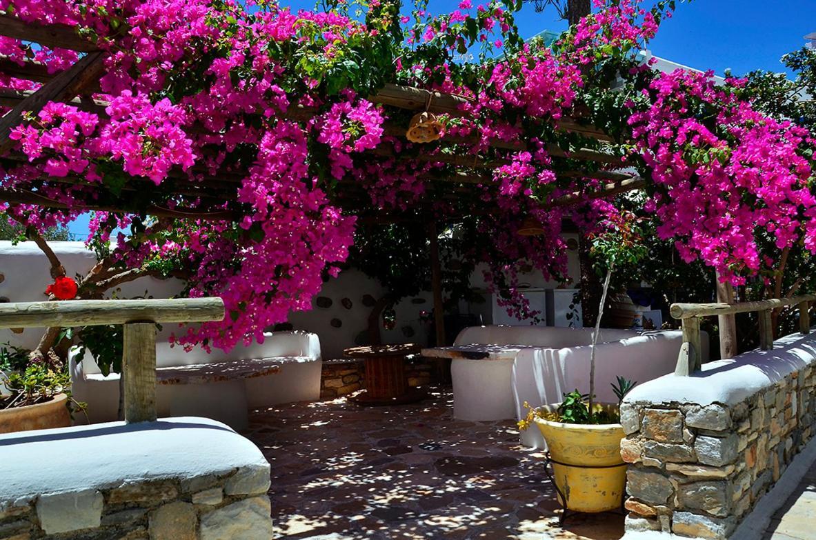 Ermis Koufonissi Apartment