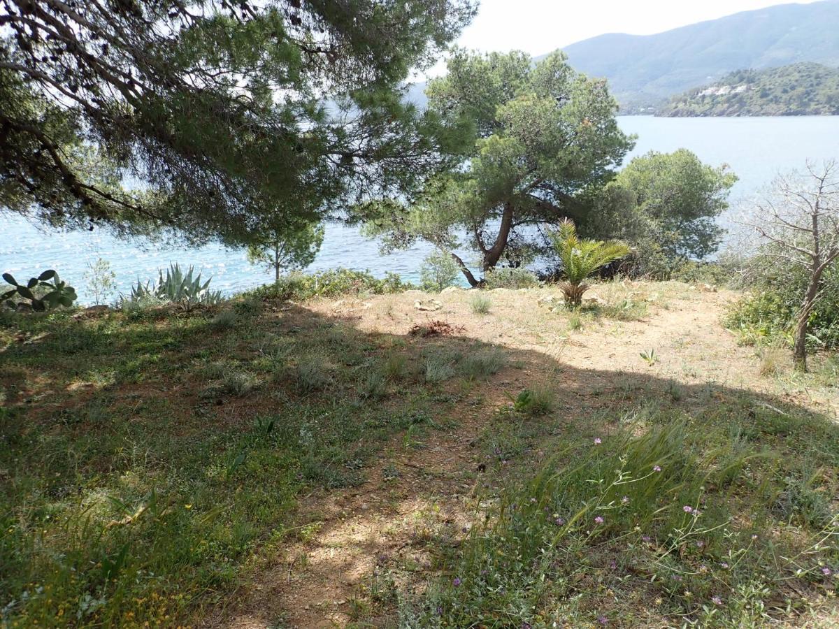 Beachfront With Private Path To The Sea Apartment Poros Town