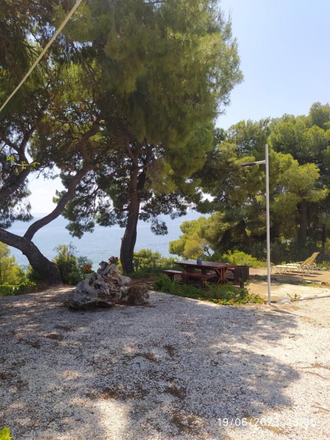 Apartment Pefkonas 100 M From The Psakoudia
