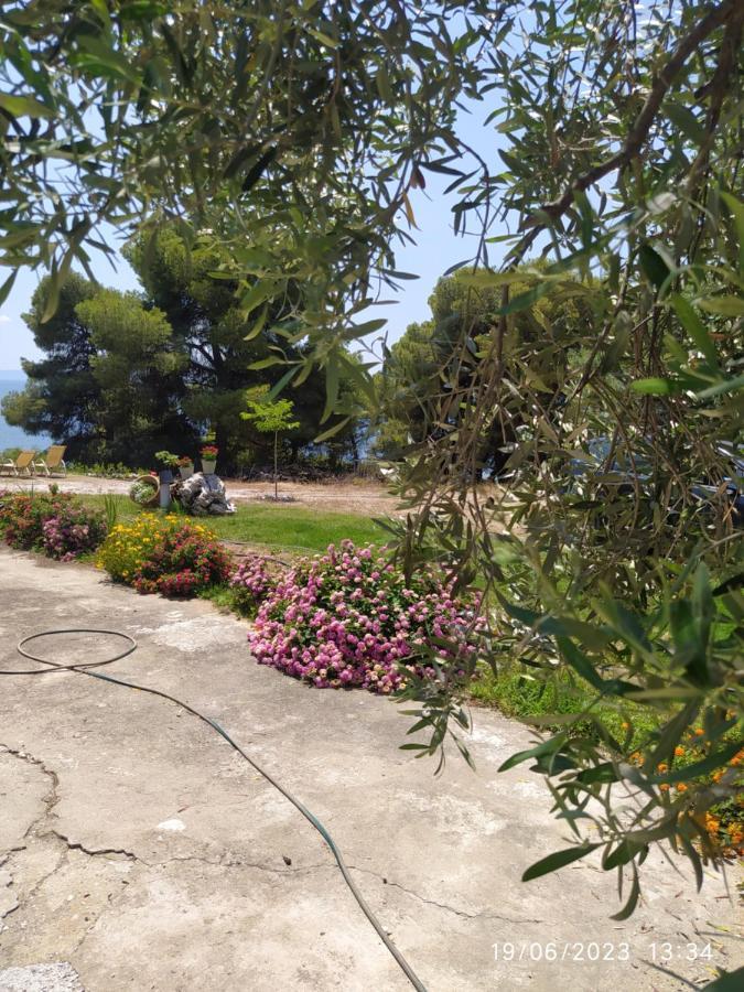 Pefkonas 100 M From The