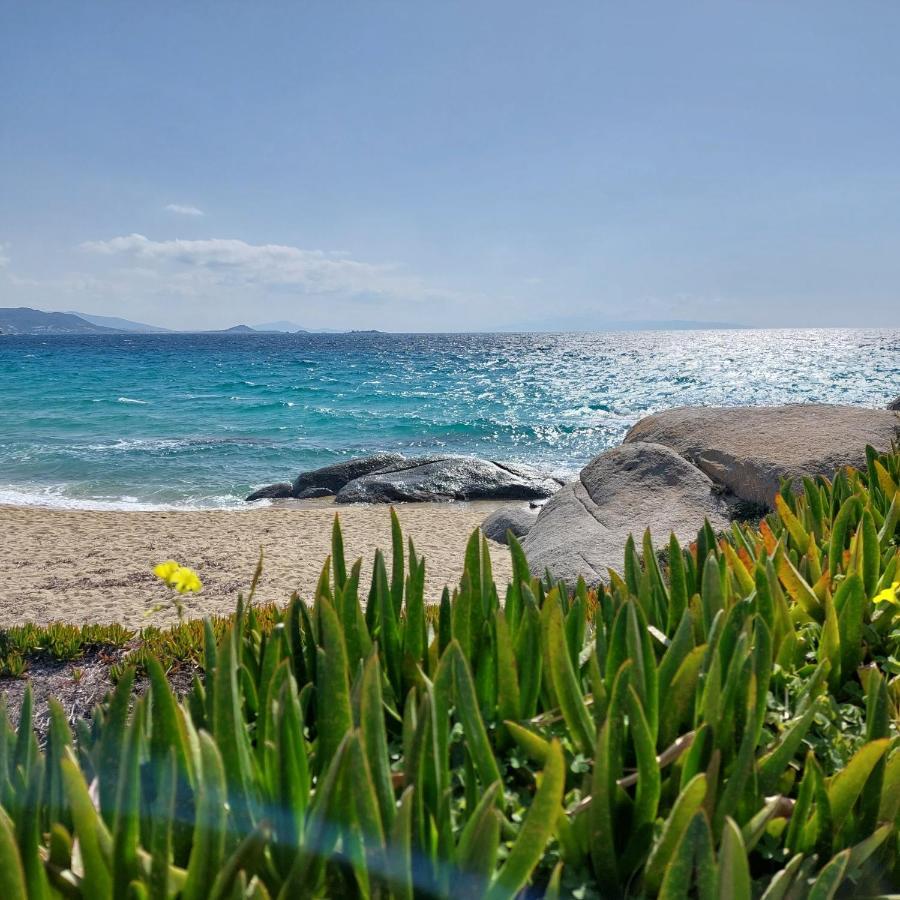 Sea U Soon Seafront Apartment Stelida (Naxos)