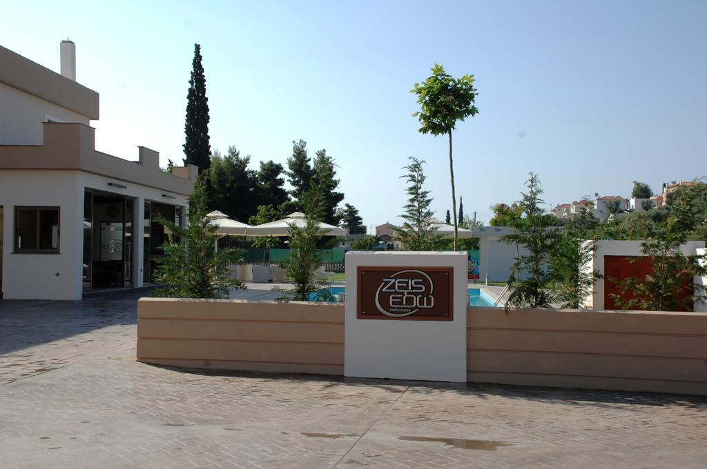 Zeis Edo Luxury Tolo