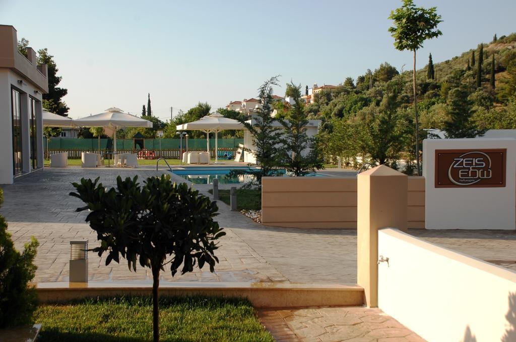 Zeis Edo Luxury Tolo