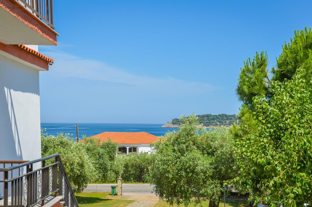 Apartment Assos *