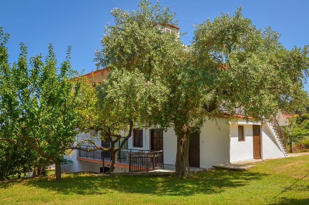 Apartment Assos