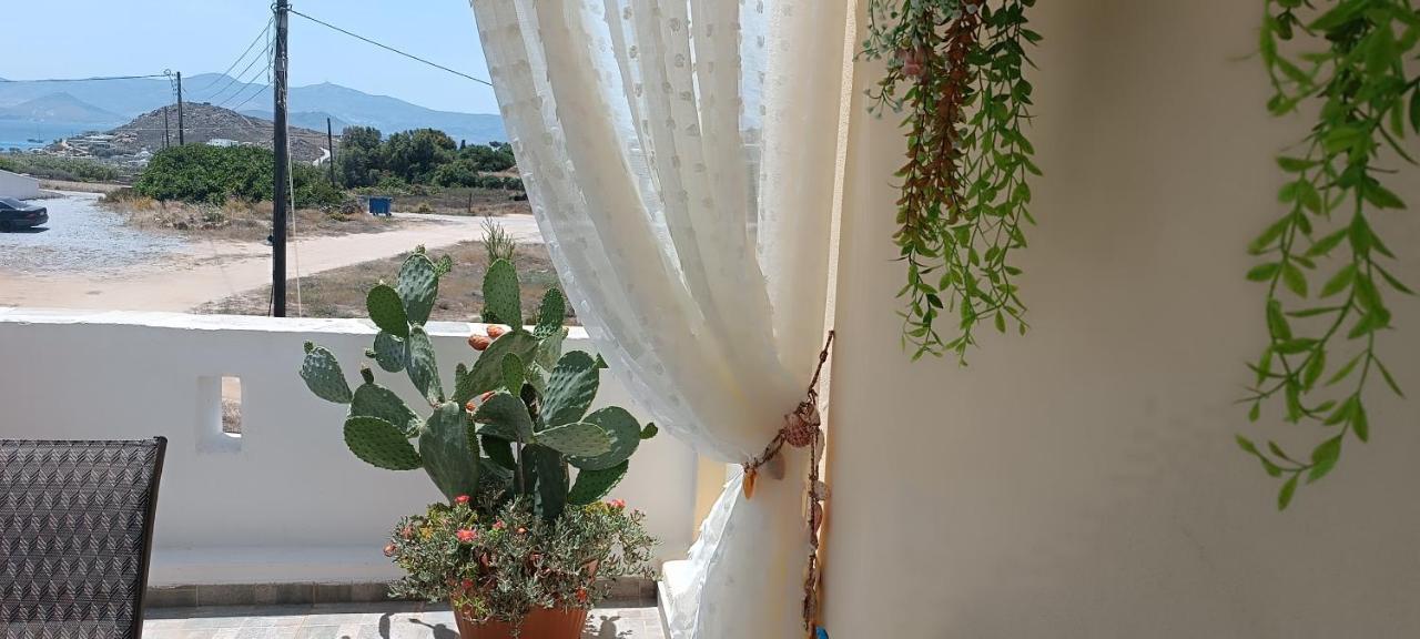 Guest house Actis Stelida (Naxos)