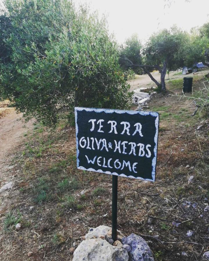 Terraoliva&herbs