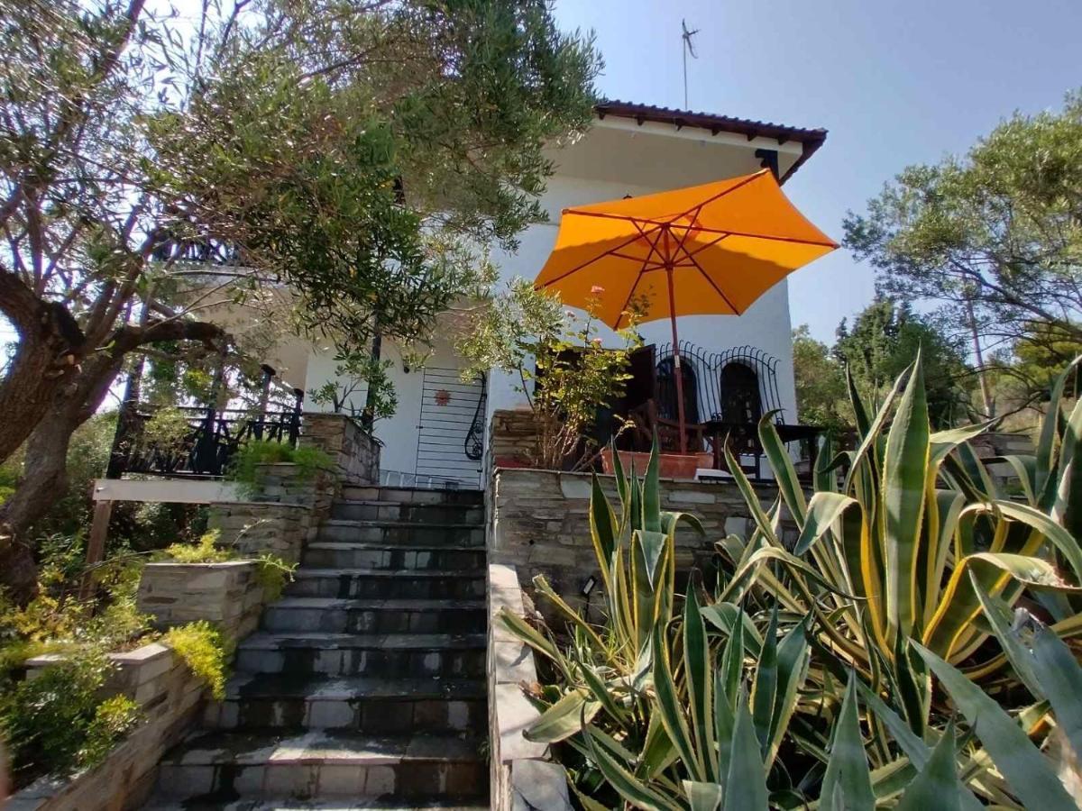 Mike's Seaside House Akti Salonikiou