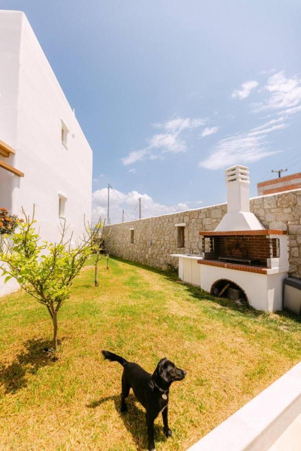 Velonis With Private Pool And Sea View Agia Anna (Naxos)