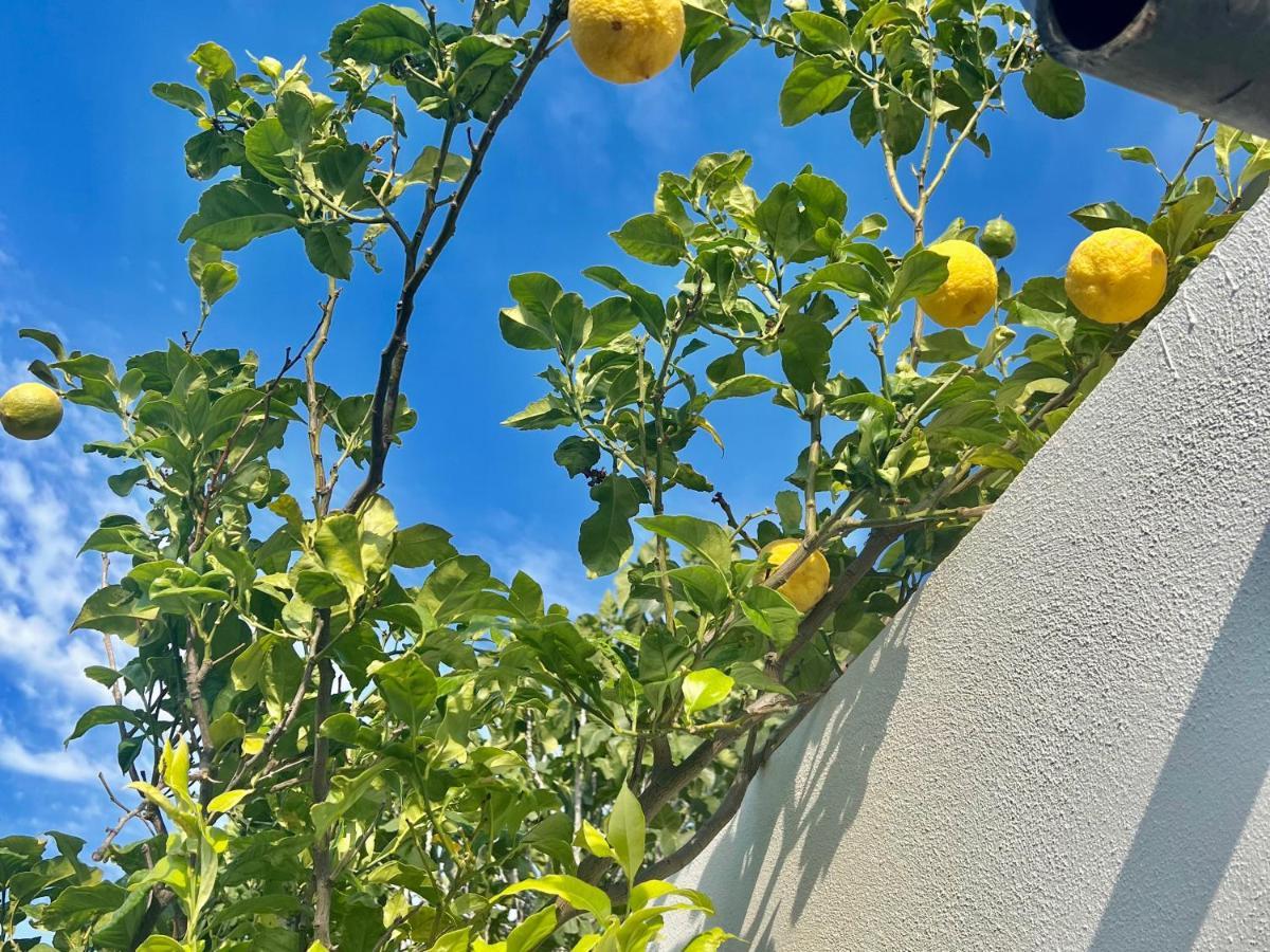 Holiday home Greek House Tatiana Kos Town