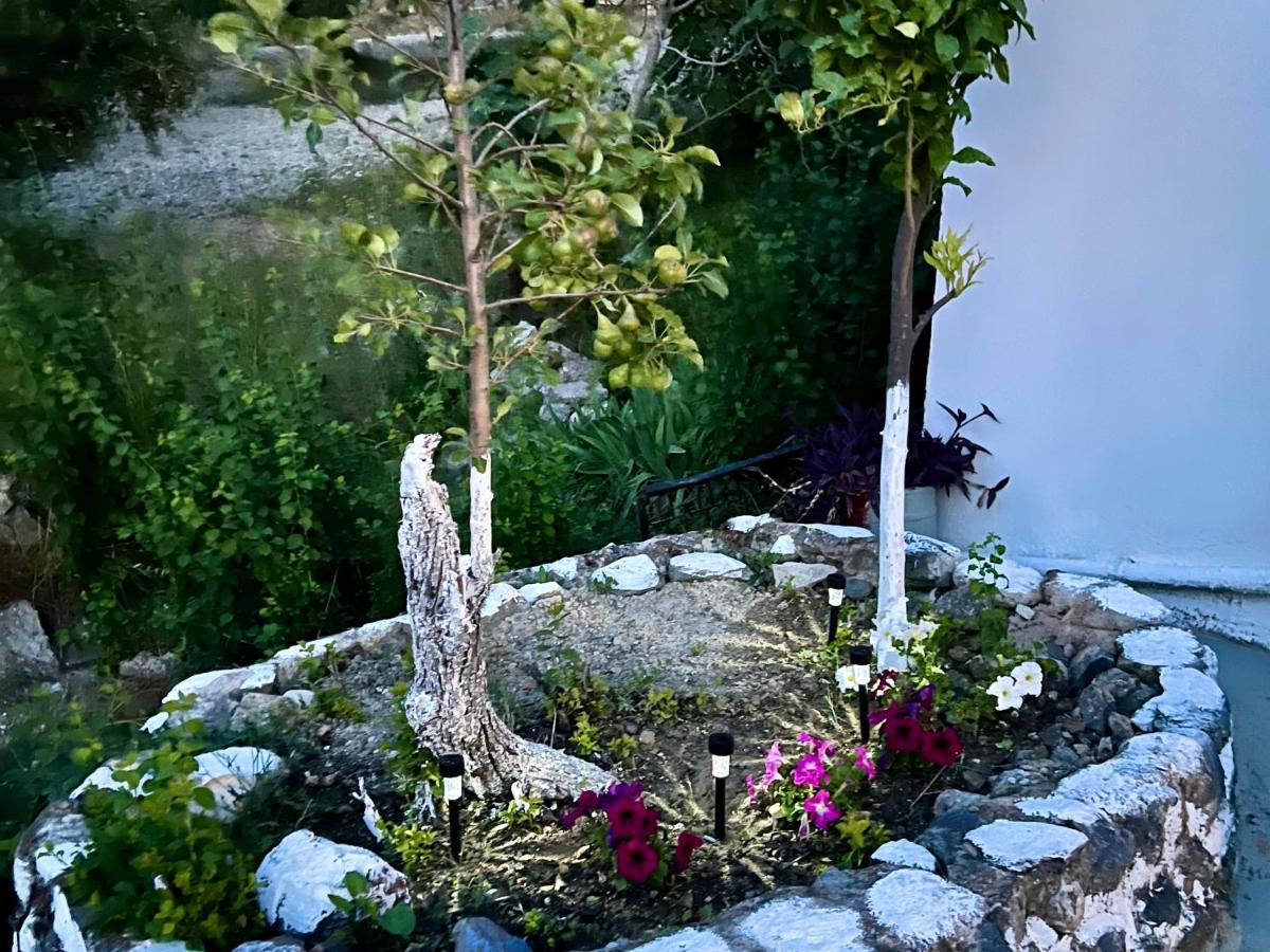 Greek House Tatiana Holiday home Kos Town