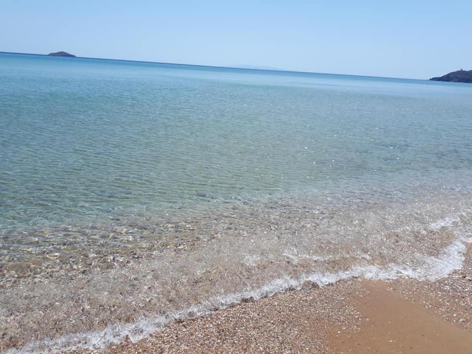 Restia * Agios Petros (Andros)