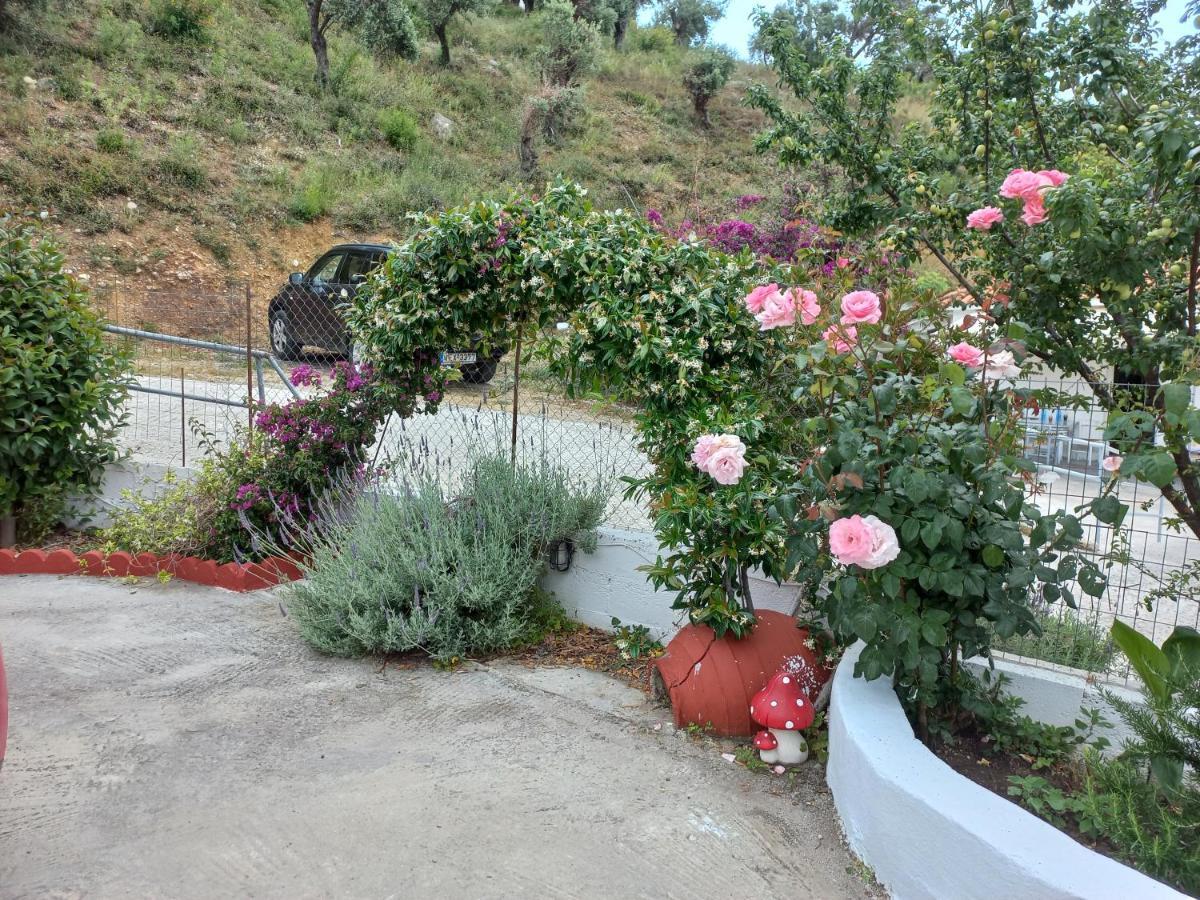 Stafylos Rooms Guest house Stafylos