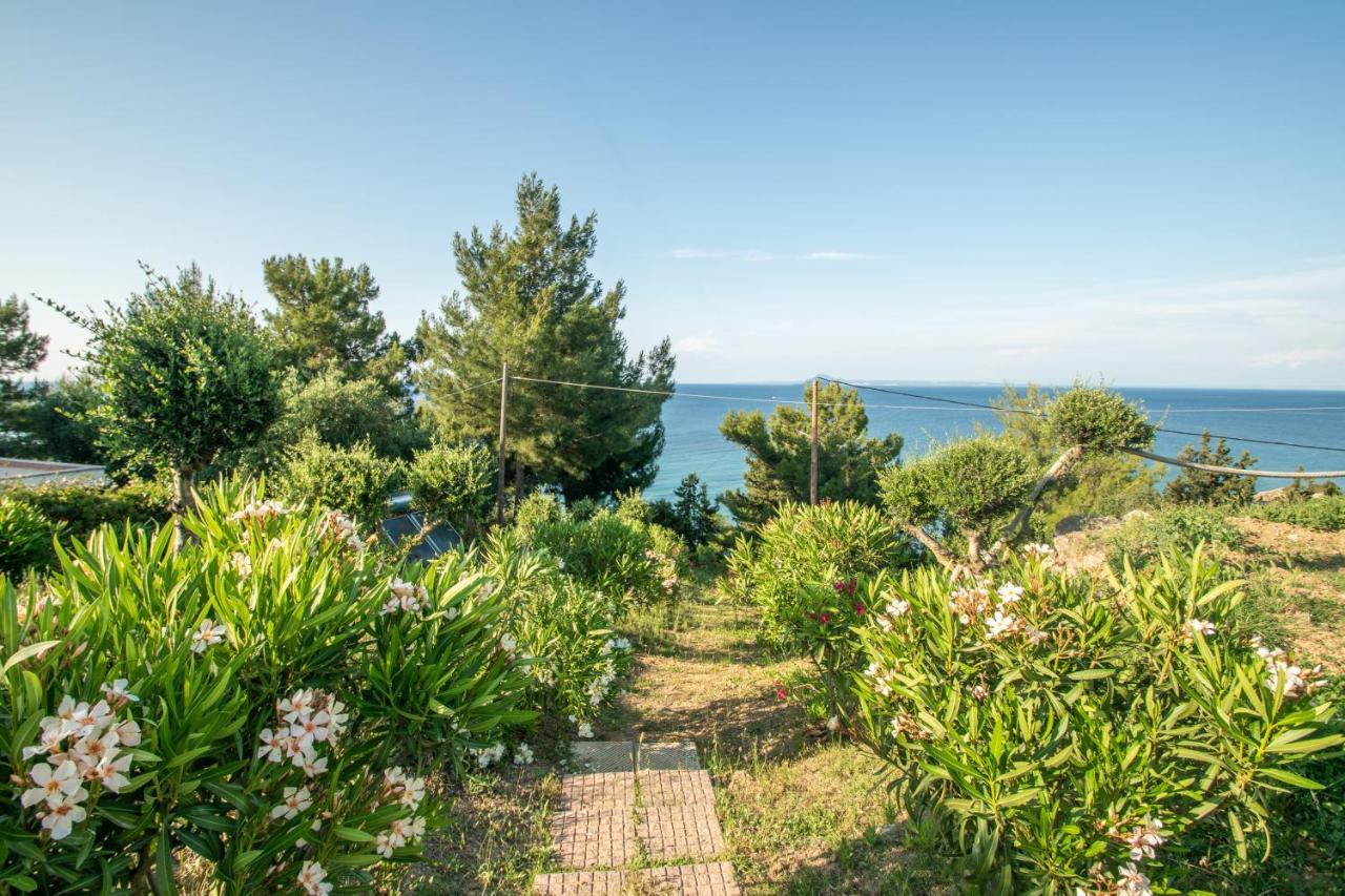 Arpyia Apartment Vasilikos (Zakynthos)