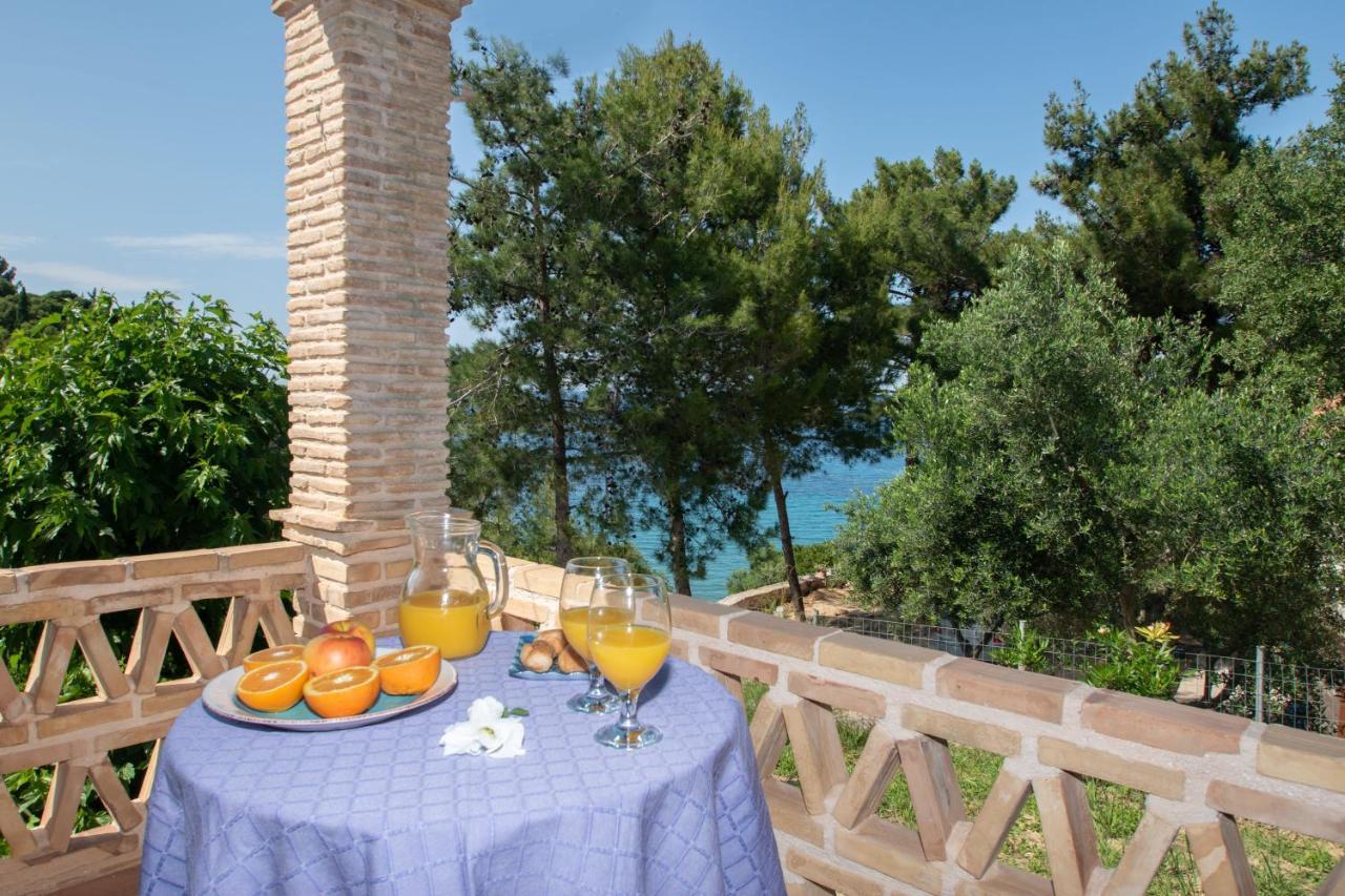 Apartment Arpyia Vasilikos (Zakynthos)