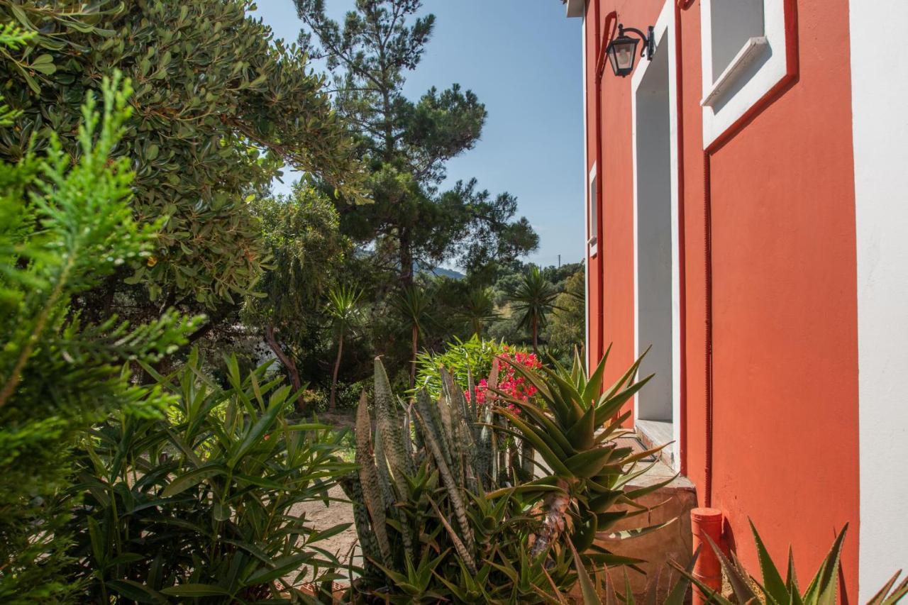 Arpyia Apartment