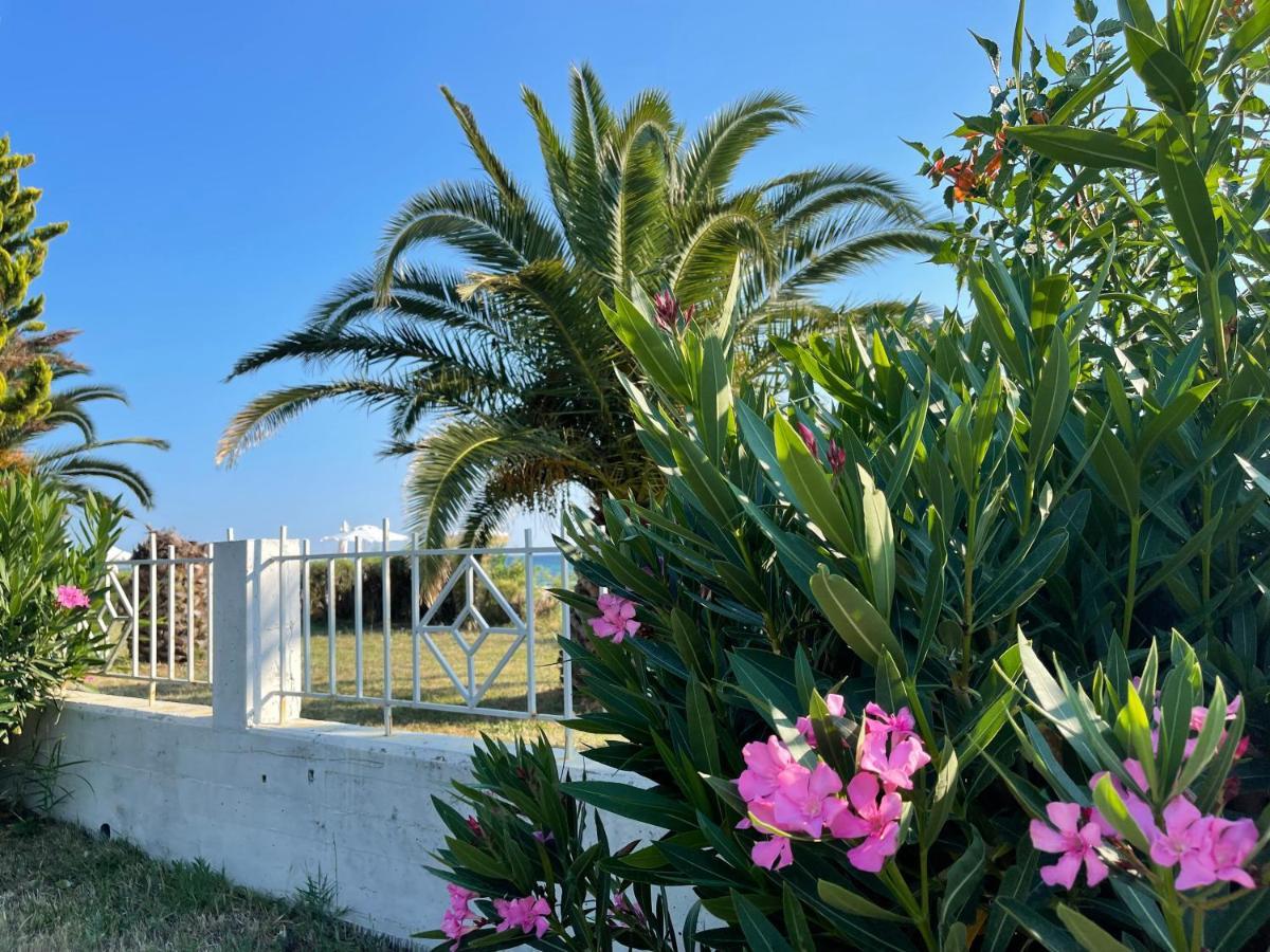 Holiday home 5-guest In Halkidiki Metokhion Konstamonitou