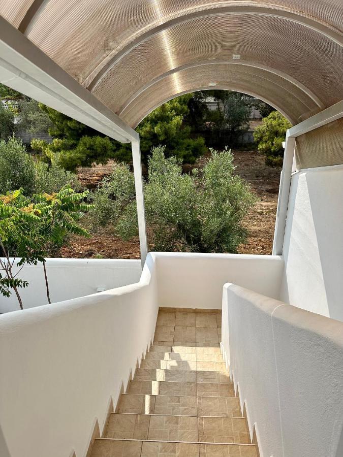 Thanos Guest house