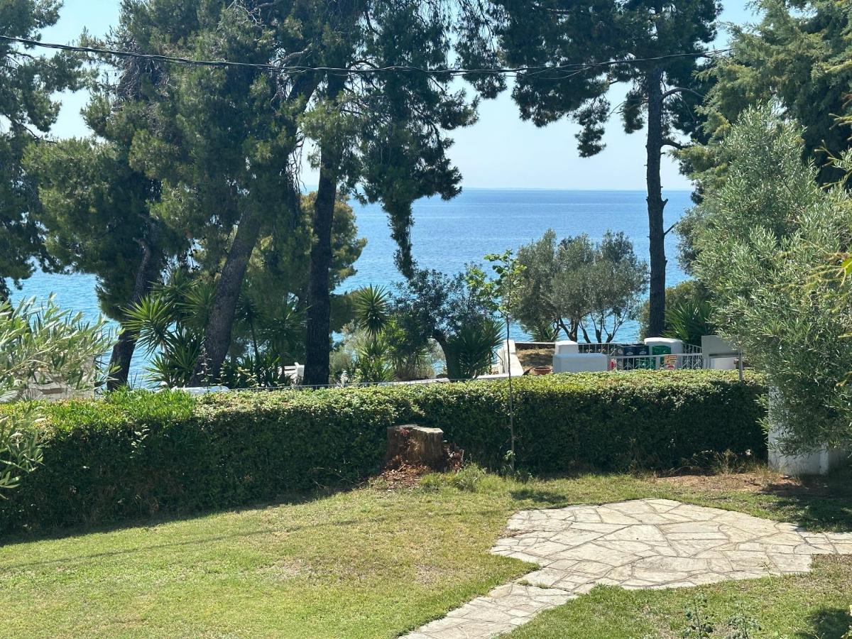 Sea View Anastasia * Kalogria (Sithonia)