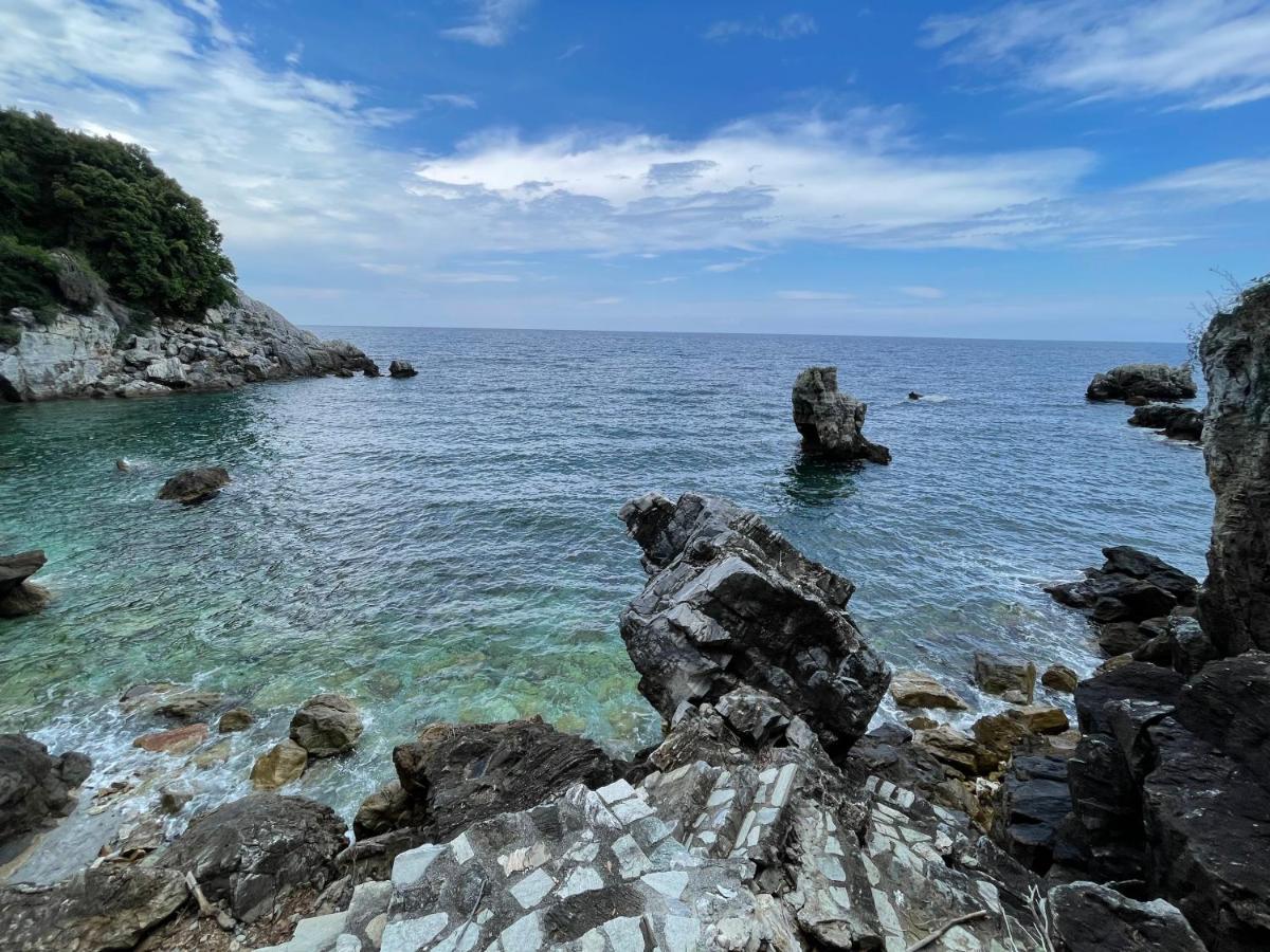 Hideaway In With Private Access To Sea Anna's Horizon Holiday home Damouchari