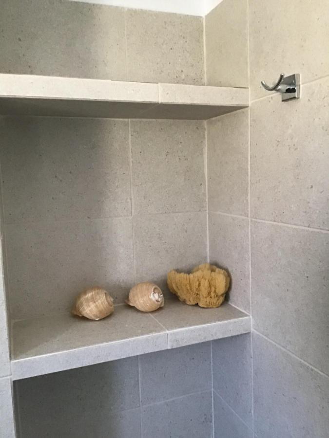 Albatross Apartment Agios Sostis (Tinos)