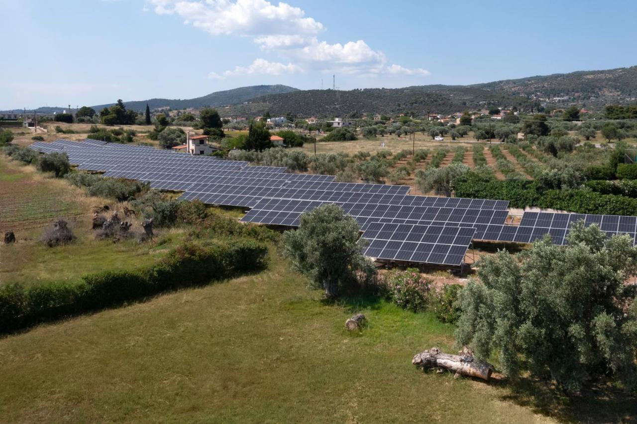 Negroponte Resort Eretria (Evia)