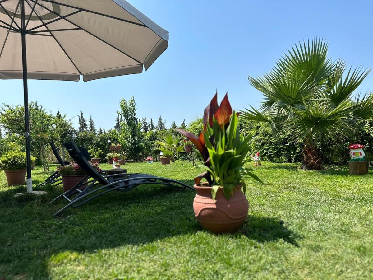Olympus Sea View Apartment. Holiday home *