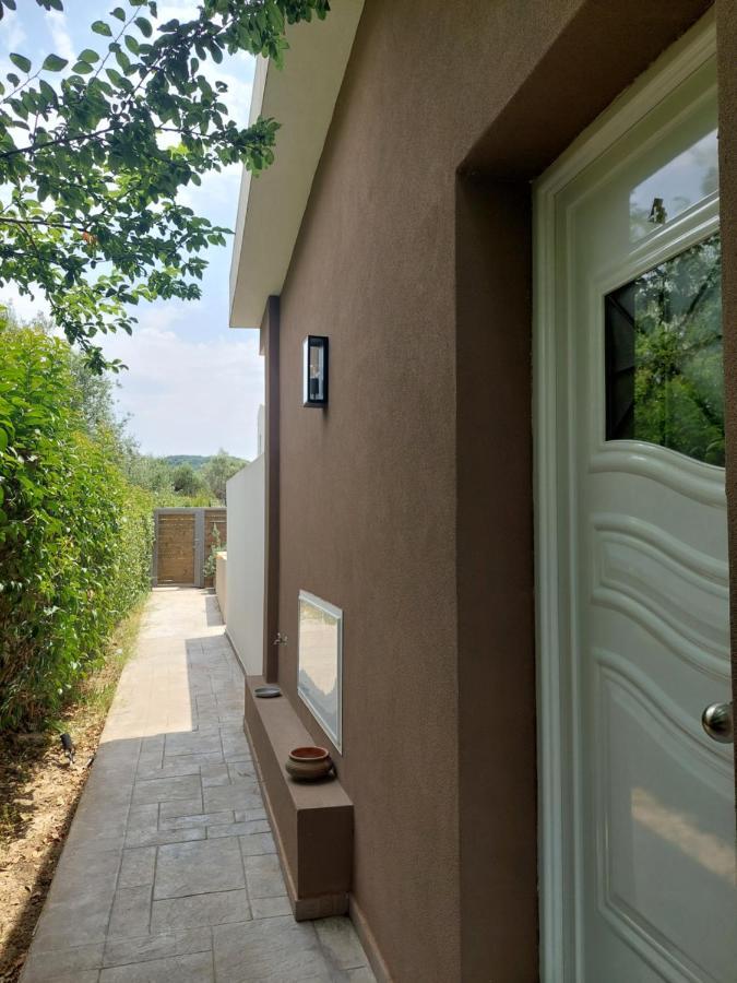 Zante Flower & Apartment *