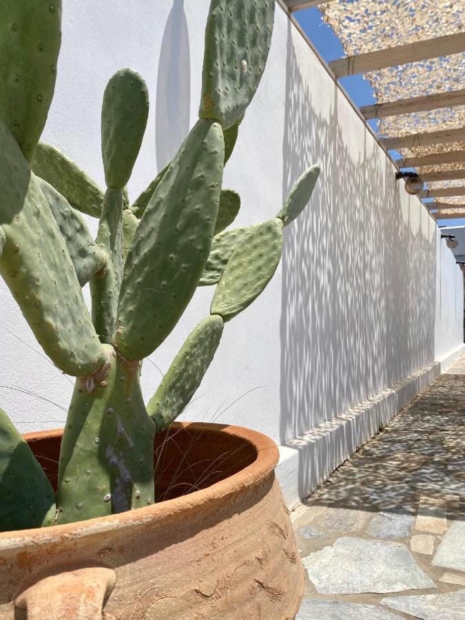 Fikas Hotel Naxos City