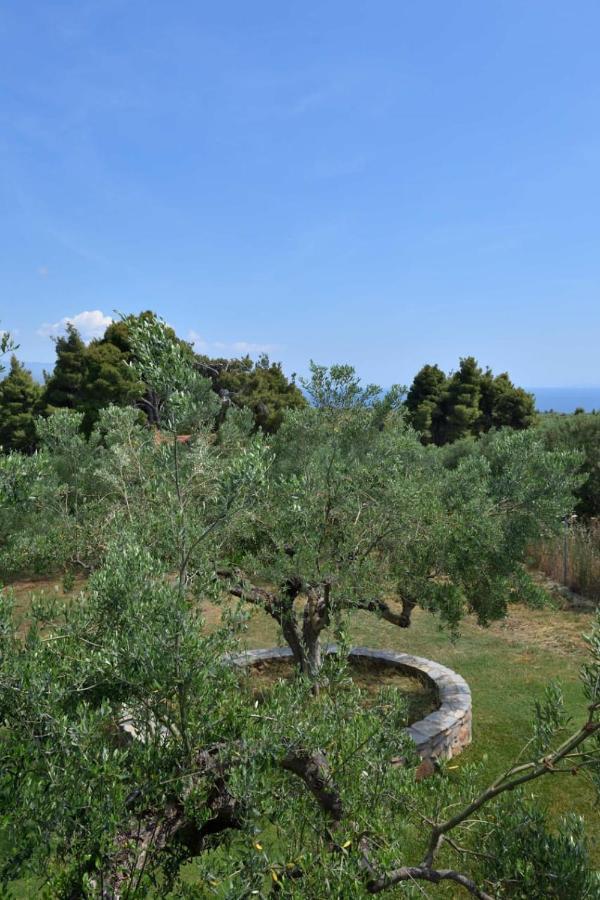 Kladi Holiday home Nikiti (Sithonia)