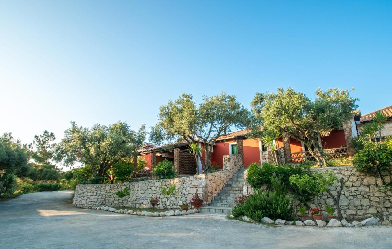 Apartment Arpyia Vasilikos (Zakynthos)