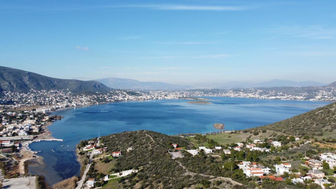 Endless Seaview Porto Rafti