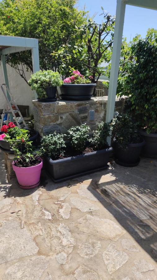 My Little Garden Holiday home *